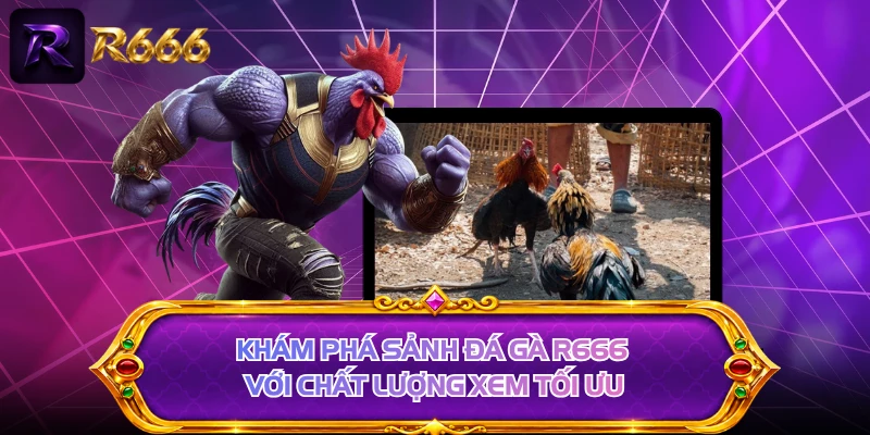 Khám phá sảnh đá gà R666 với chất lượng xem tối ưu